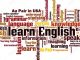 Amerikada Çalışarak İngilizce Öğrenin
